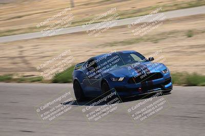 media/Sep-17-2023-Speed Ventures (Sun) [[7e780ba612]]/Green/Grid and Straight/